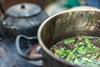 Brewing ayahuasca