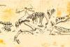 0116CW_Feature_Bones_630m