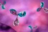 A 3D illustration of antibodies