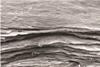 SEM image of composite thin film