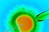 Crispr-embryo_iStock_48692358_300m