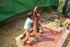 An image showing a small girl collecting water from tube well in Bangladesh