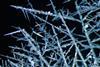 Metal displacement reactions