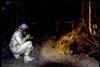An image showing he Elephants Foot of the Chernobyl disaster