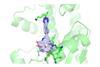 Metalloenzyme pic 1