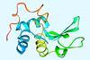 An image showing a lysozyme molecule