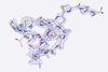 Rapid structure determination using CryoEM and MicroED