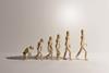 Human evolution