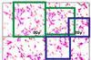 Image problems in biomedicine049452
