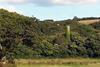 The overgrown South Terras mine, showing the chimney amongst trees
