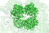 Beta glucosidase 3AHX