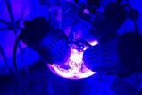 A photograph of the reaction setup, with blue LEDs shining on the reaction vessel