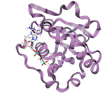 Illustration to demonstrate FEP