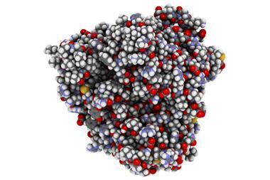 Cytochrome P450 (CYP2D6) liver enzyme in complex with the drug quinine