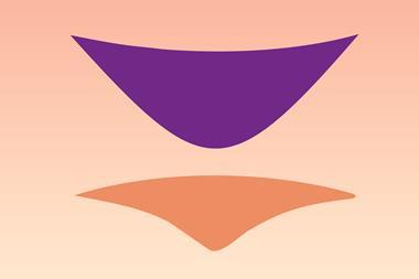 Polariton
