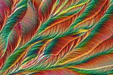 Polarised light micrograph of paracetamol crystals