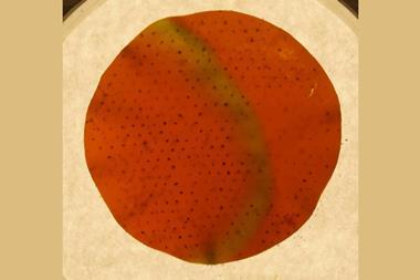 Index image taken from BZ gels video