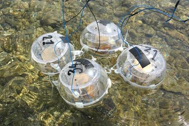 An image showing a field test of the wave-energy-driven CO2RR system