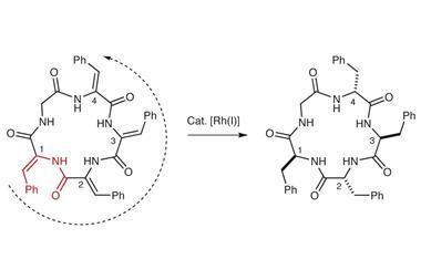 Hydrogenation catalyst generates cyclic peptide stereocentres in sequence