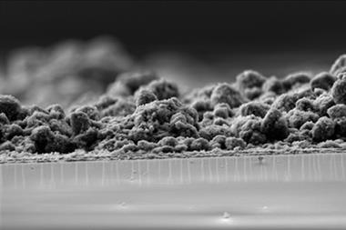 chiral hydrogen electrode SEM