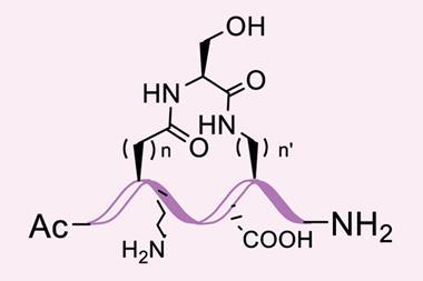 An image showing a peptide structure