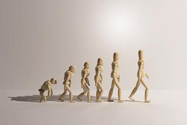 Human evolution