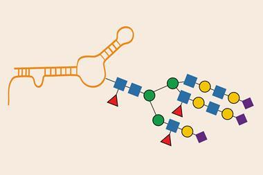 An image showing RNA