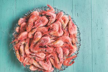 Shrimps