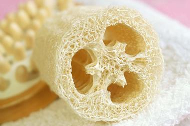 Loofah
