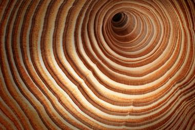 Wood texture
