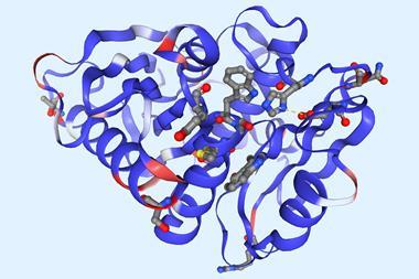 Enzyme