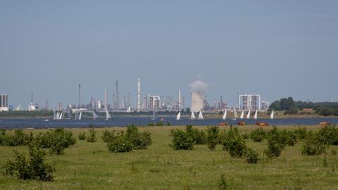 An image showing a Dow plant