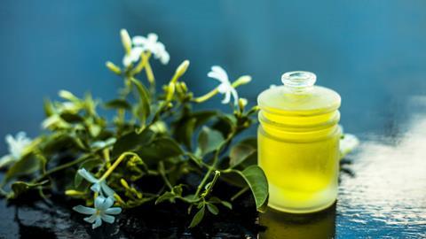 Jasmine flowers and oil