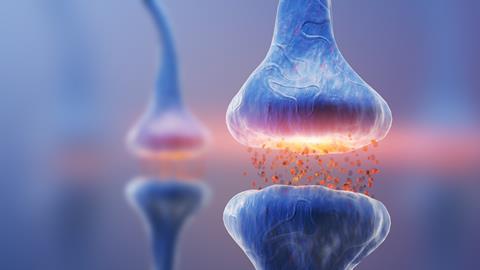 Neurotrasmitter across a synapse