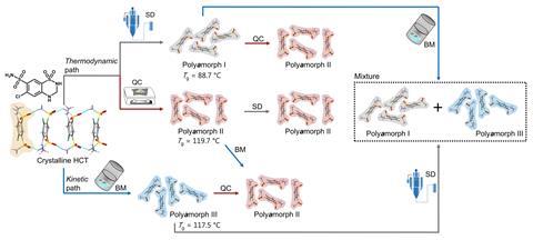 Polyamorph interconversions